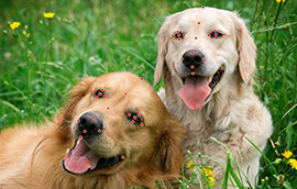 意昂5登录:AI为人赋能人为AI赋魂