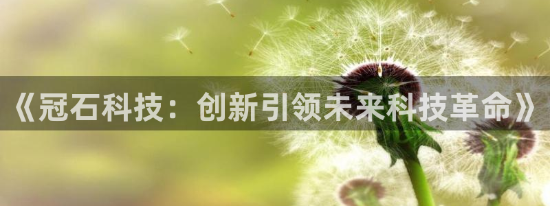 《冠石科技：创新引领未来科技革命》