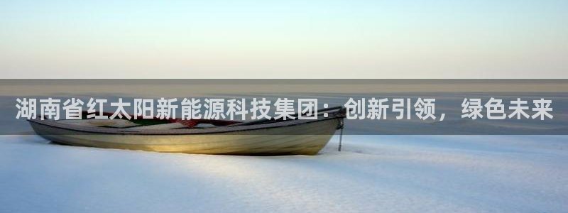 湖南省红太阳新能源科技集团：创新引领，绿色未来