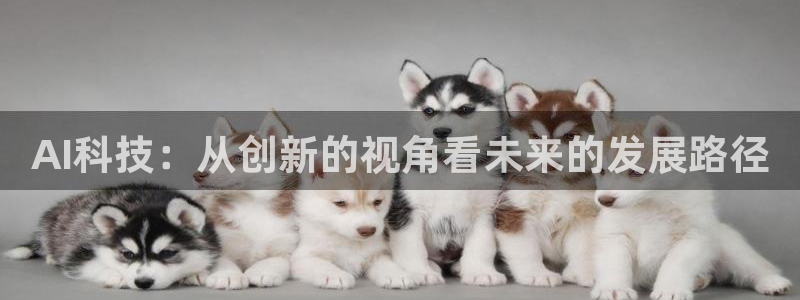 AI科技：从创新的视角看未来的发展路径