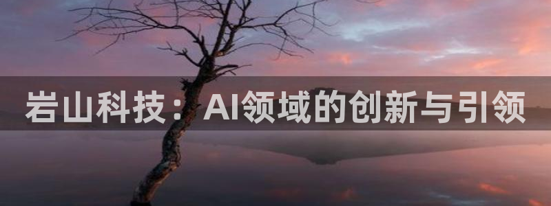岩山科技：AI领域的创新与引领