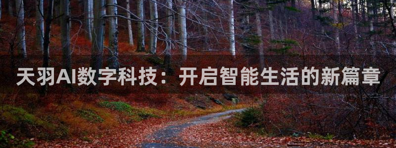 天羽AI数字科技：开启智能生活的新篇章