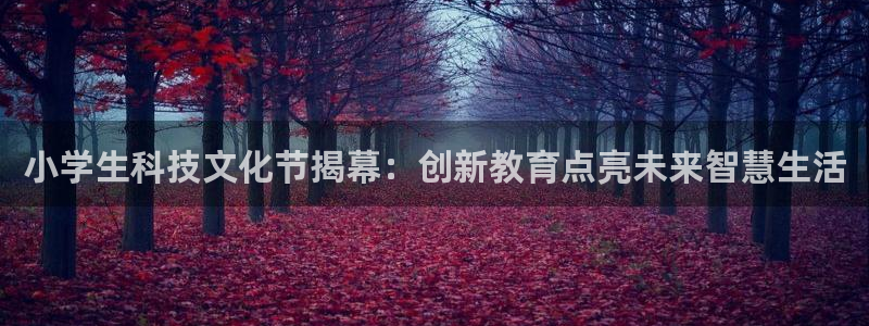 小学生科技文化节揭幕：创新教育点亮未来智慧生活