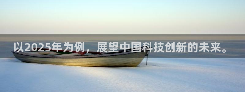 以2025年为例，展望中国科技创新的未来。