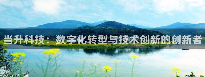 当升科技：数字化转型与技术创新的创新者