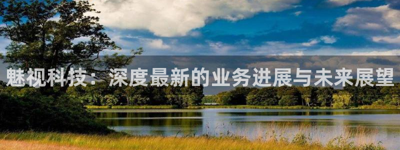 魅视科技：深度最新的业务进展与未来展望