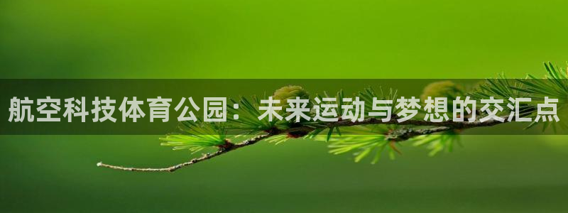 航空科技体育公园：未来运动与梦想的交汇点