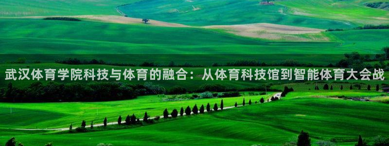 武汉体育学院科技与体育的融合：从体育科技馆到智能体育大会战