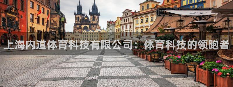 上海内道体育科技有限公司：体育科技的领跑者