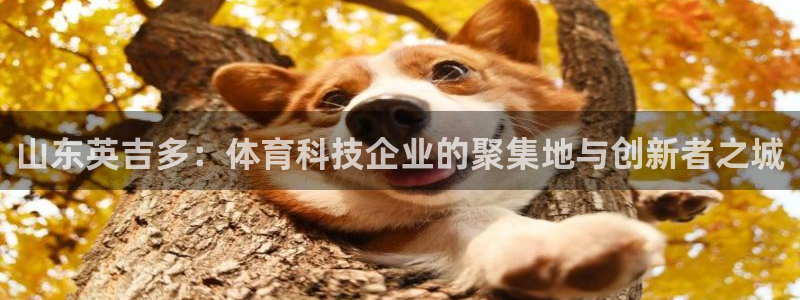 山东英吉多：体育科技企业的聚集地与创新者之城