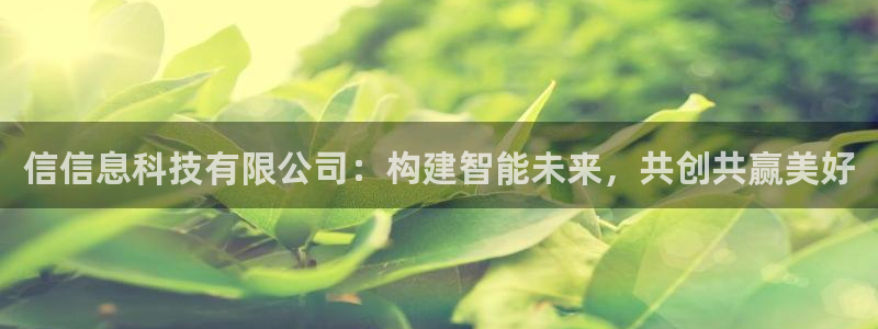 信信息科技有限公司：构建智能未来，共创共赢美好