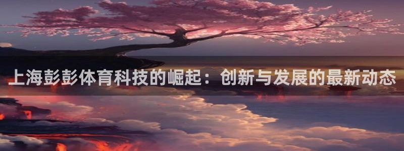 上海彭彭体育科技的崛起：创新与发展的最新动态