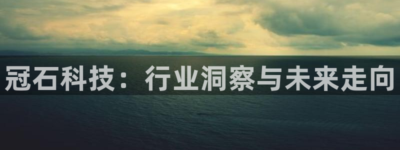 冠石科技：行业洞察与未来走向