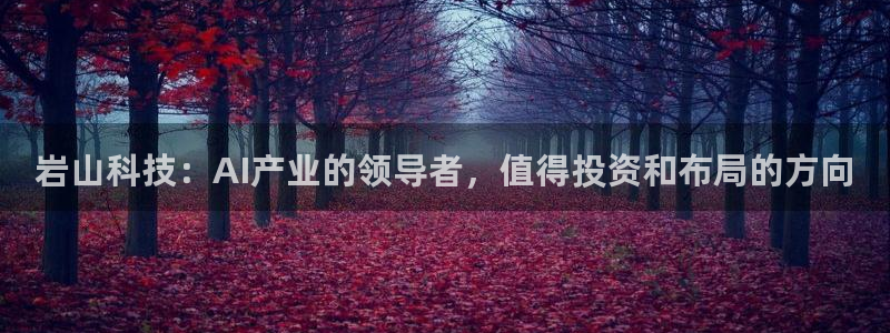 岩山科技：AI产业的领导者，值得投资和布局的方向