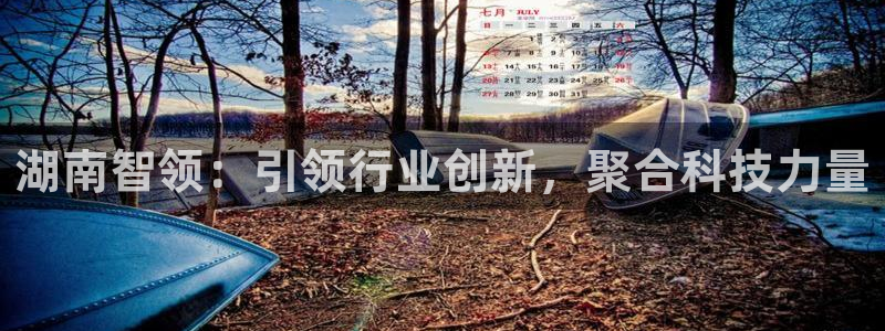 湖南智领：引领行业创新，聚合科技力量