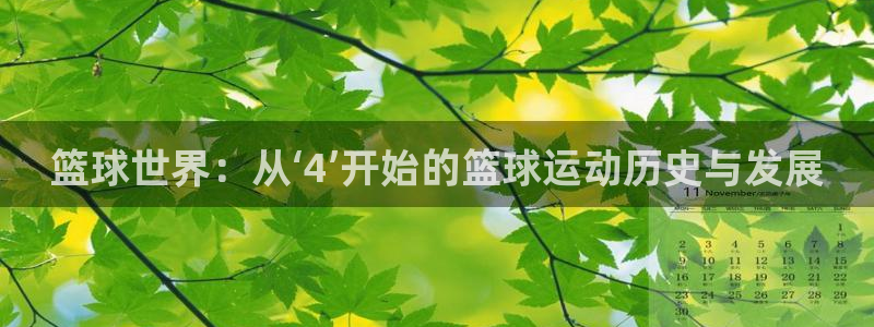 篮球世界：从‘4’开始的篮球运动历史与发展