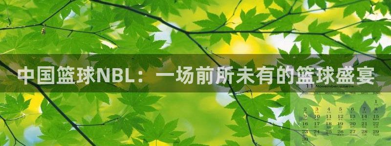 中国篮球NBL：一场前所未有的篮球盛宴