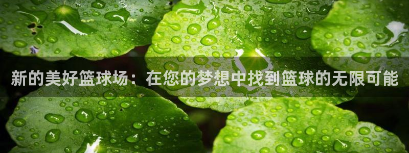 新的美好篮球场：在您的梦想中找到篮球的无限可能
