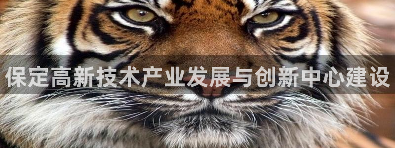 保定高新技术产业发展与创新中心建设