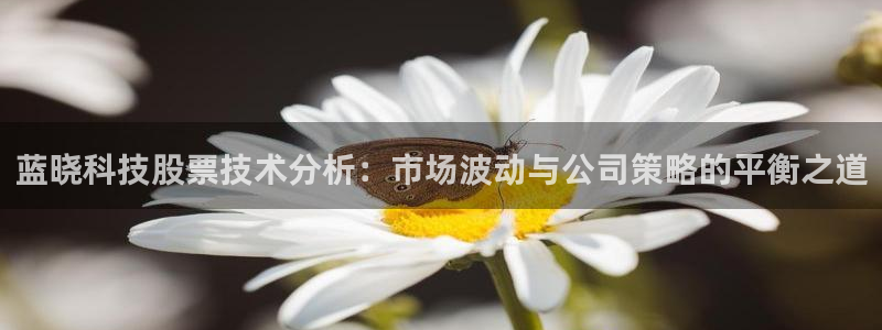 蓝晓科技股票技术分析：市场波动与公司策略的平衡之道