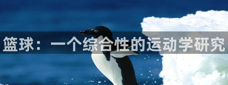 篮球：一个综合性的运动学研究