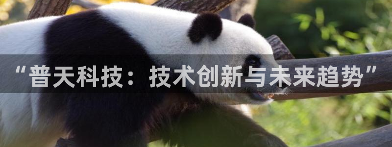 “普天科技：技术创新与未来趋势”