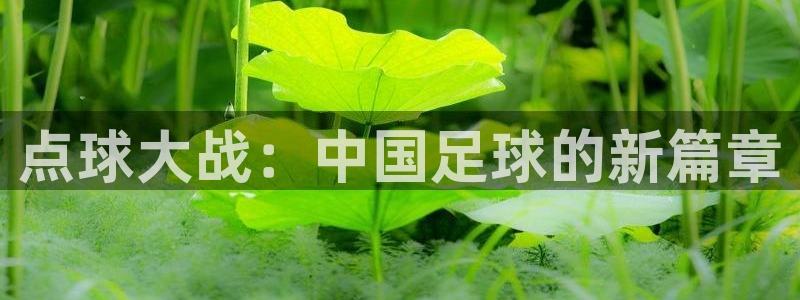 点球大战：中国足球的新篇章
