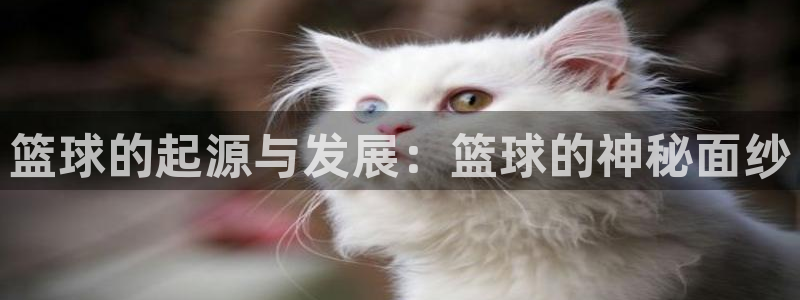 篮球的起源与发展：篮球的神秘面纱