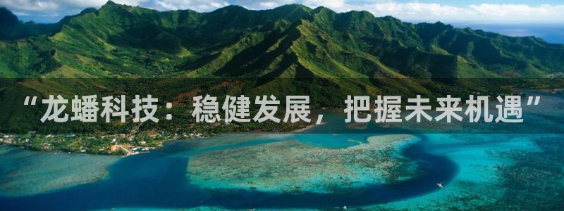 “龙蟠科技：稳健发展，把握未来机遇”