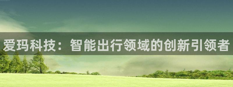 爱玛科技：智能出行领域的创新引领者