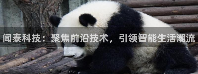 闻泰科技：聚焦前沿技术，引领智能生活潮流