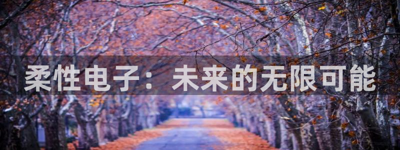 柔性电子：未来的无限可能
