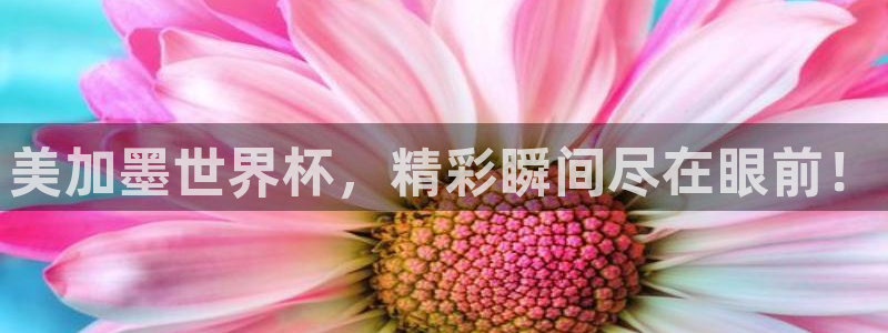 美加墨世界杯，精彩瞬间尽在眼前！
