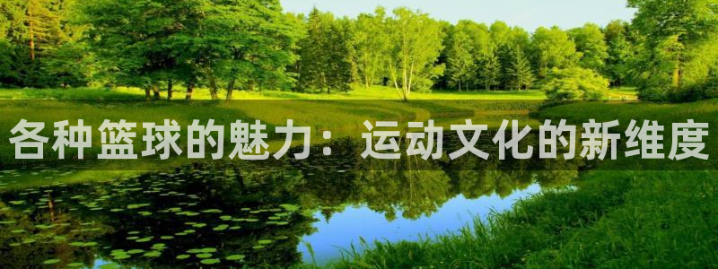 各种篮球的魅力：运动文化的新维度