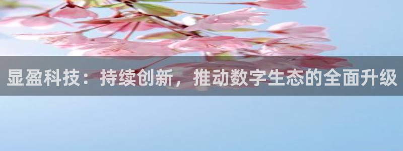 显盈科技：持续创新，推动数字生态的全面升级