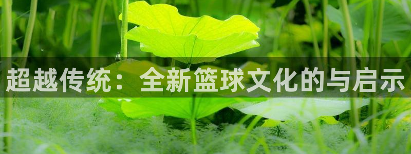 超越传统：全新篮球文化的与启示