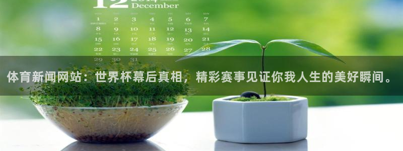 体育新闻网站：世界杯幕后真相，精彩赛事见证你我人生的美好瞬间。