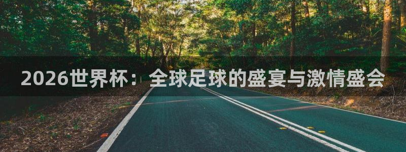 2026世界杯：全球足球的盛宴与激情盛会