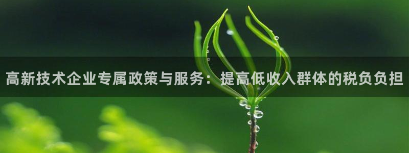 高新技术企业专属政策与服务：提高低收入群体的税负负担
