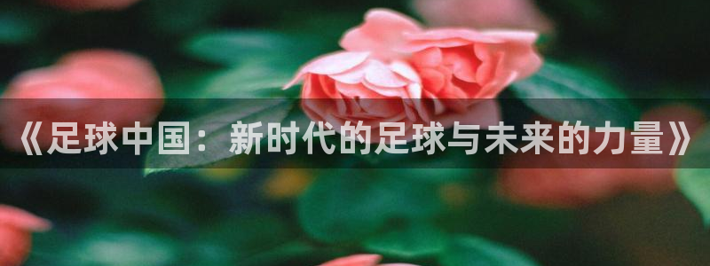 《足球中国：新时代的足球与未来的力量》