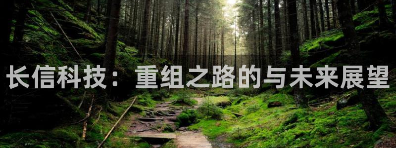 长信科技：重组之路的与未来展望