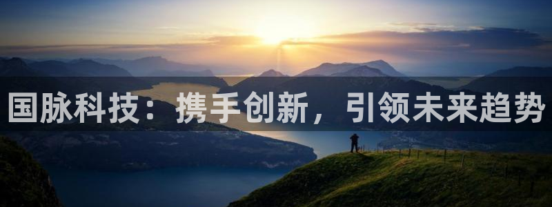 国脉科技：携手创新，引领未来趋势