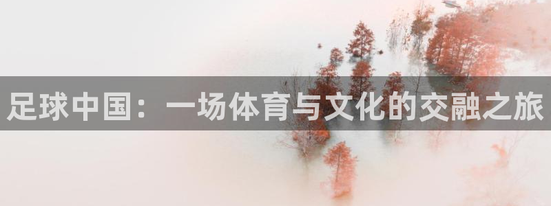 足球中国：一场体育与文化的交融之旅