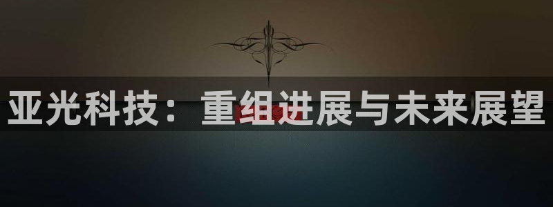 亚光科技：重组进展与未来展望