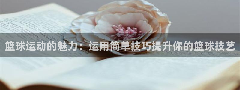 篮球运动的魅力：运用简单技巧提升你的篮球技艺