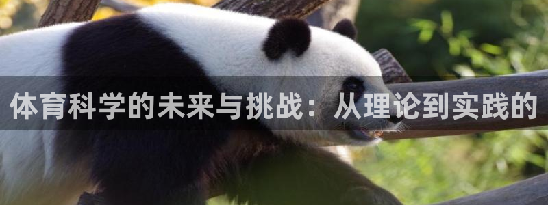 体育科学的未来与挑战：从理论到实践的