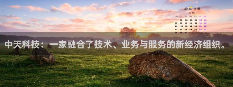 中天科技：一家融合了技术、业务与服务的新经济组织。