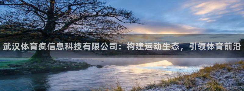 武汉体育疯信息科技有限公司：构建运动生态，引领体育前沿