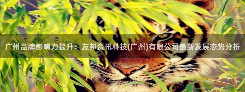 广州品牌影响力提升：友邦资讯科技(广州)有限公司最新发展态势分析