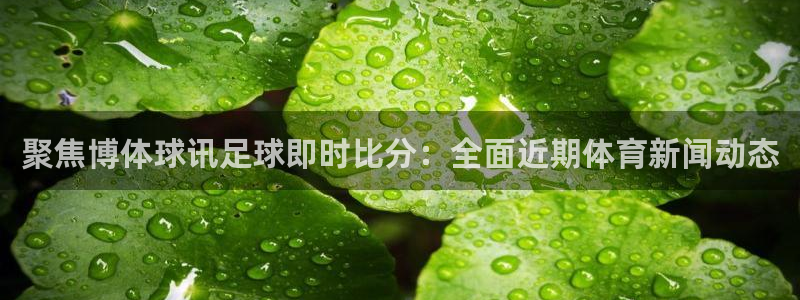 聚焦博体球讯足球即时比分：全面近期体育新闻动态